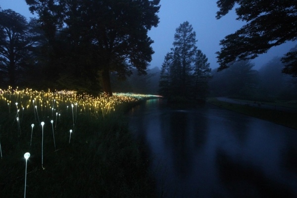 Naturinspirerad glödande äng-Led fiber