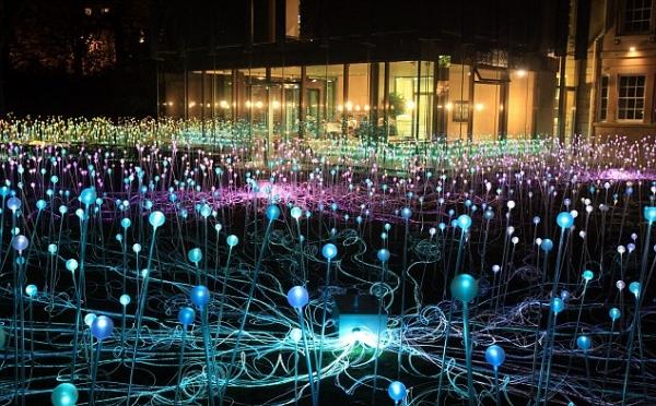 Luminous Gardens-Design Installation-Bruce Munro Storbritannien
