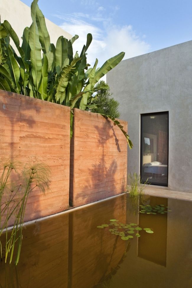 Idéer för att skapa en vatten trädgård-betong hus platt tak minimalistisk trädgård