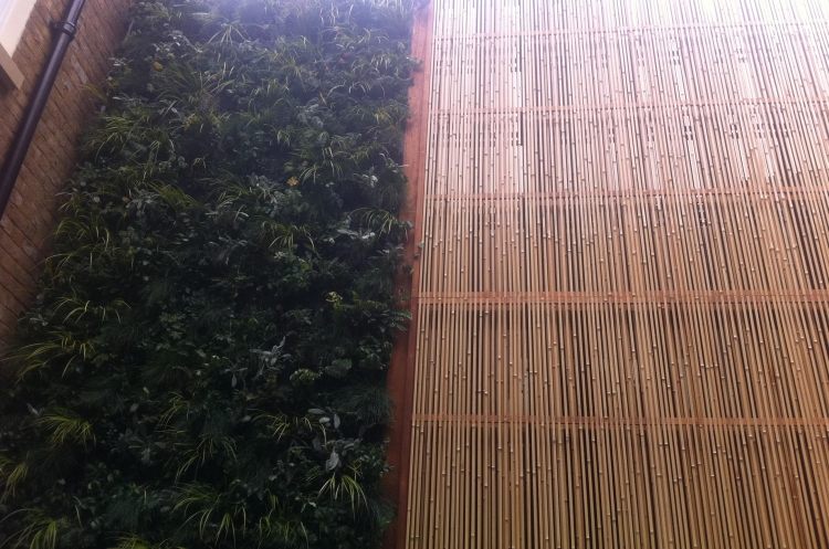 Skärmelement av trä -bambu-lång-smala-växter
