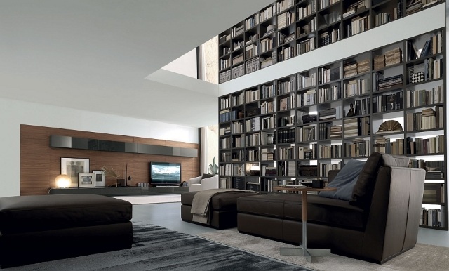 hus-bibliotek-rum-hög-modern-TV-möbler-levande-vägg-jesse