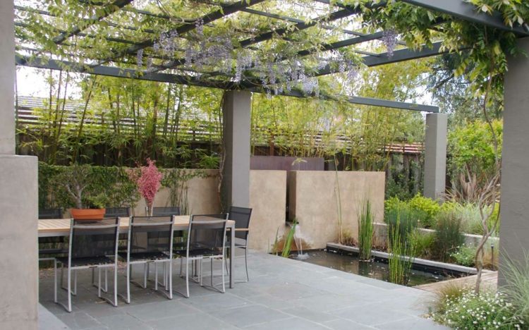 Modern-trädgård-trädgård damm-terrass-pergola-klätterväxter