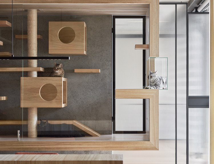 Kattlekplats träglas modern design lägenhet