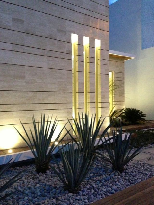 Rock garden kaktusar vintergröna succulenter fasader infällda lampor
