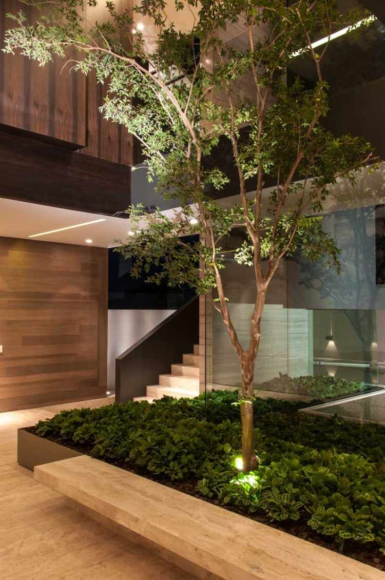 modernt hus-interiör-trädgård-träd-golv-lampor