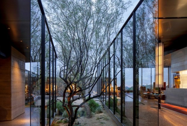 Trädgård design idéer träd Arizona landskap