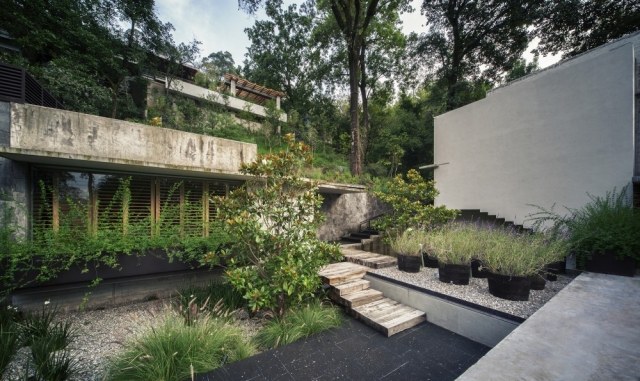 hus mexico landskap växter design