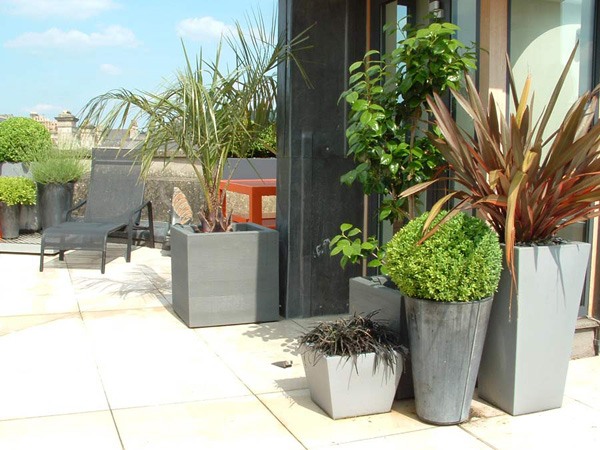 modern trädgård design grön frisk luft slappna av lätt att torka av