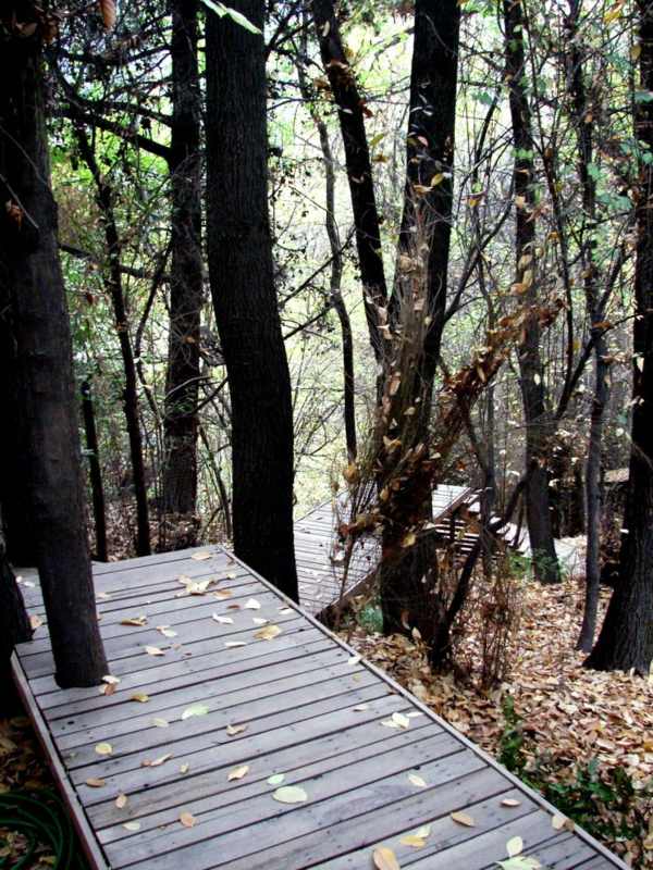 Trähus skog ingång