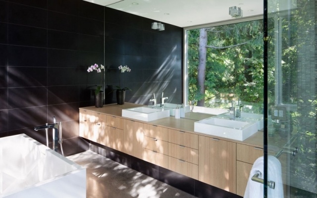 modern badrumsdesign glasvägg skog landskap landskap fåfänga