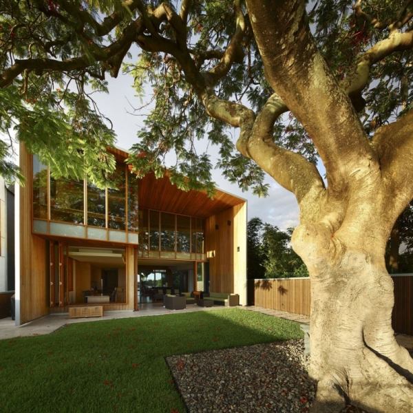 hus trä fasad innergård poinciana träd