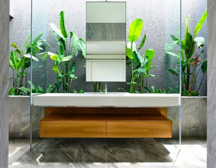 öppet-vardagsrum-fåfänga-idé-glas-vägg-växter-naturligt ljus