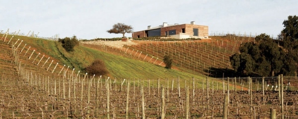 modern vinprovning hus vingårdar casablanca