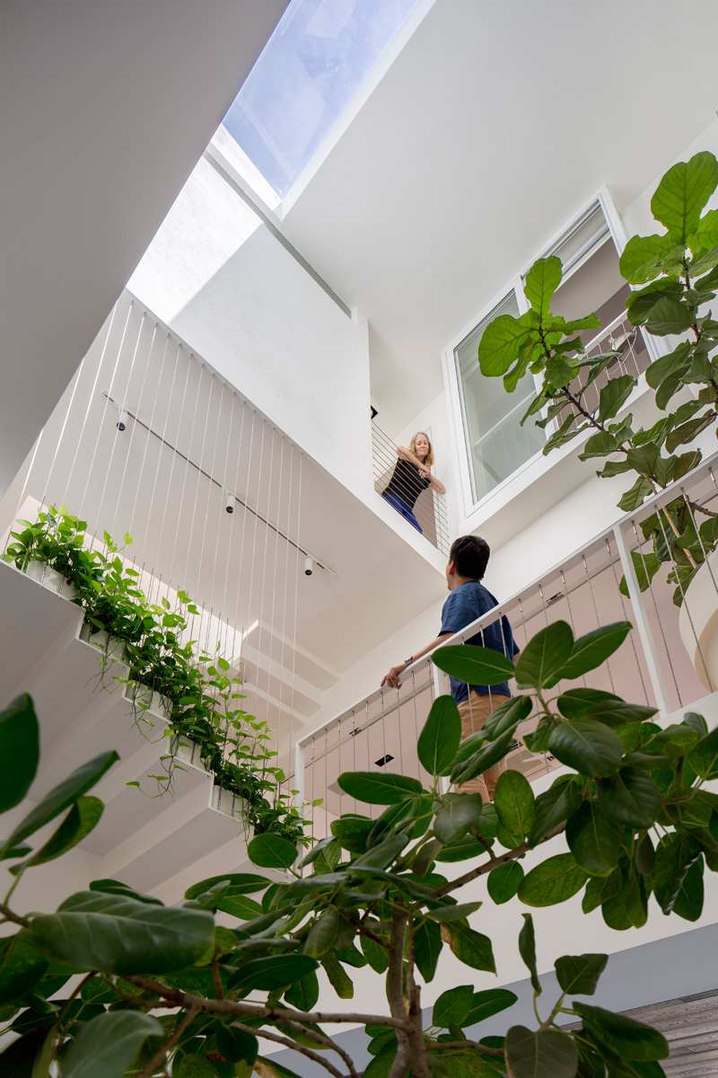 modernt-levande-öppet-vardagsrum-inomhus-trädgård-växter-trappor-fikon-vit