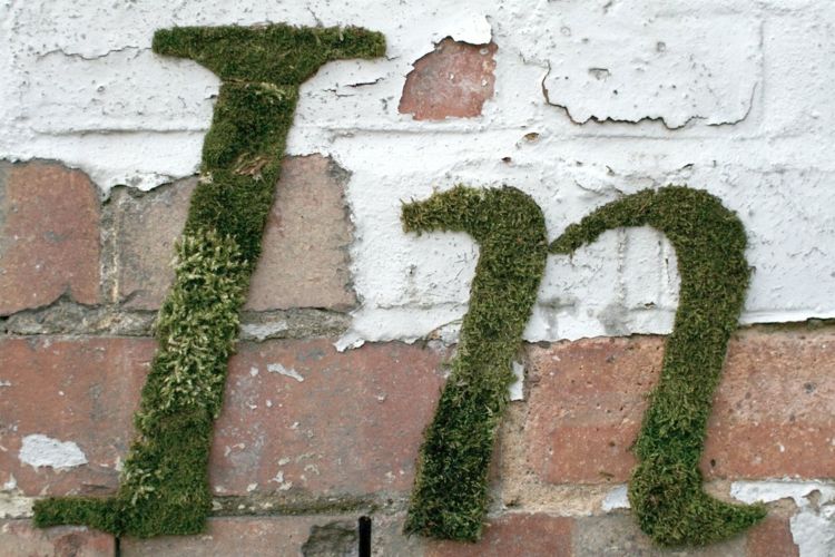 mossa graffiti deco-bokstäver-bokstäver-naturligt utseende