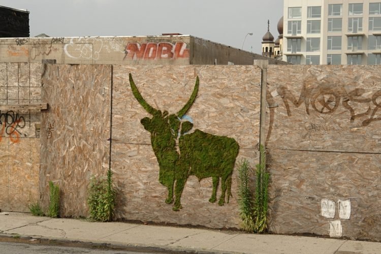 mossa-graffiti-vertikal-trädgård-tjur-motiv-plywood