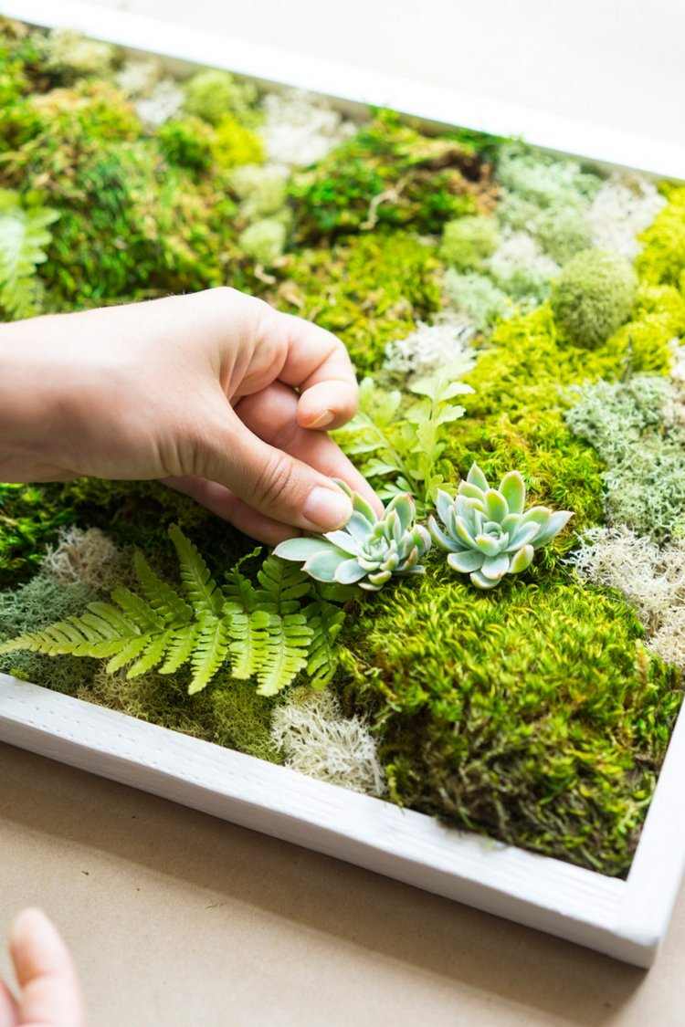 Försköna DIY mossbild med succulenter