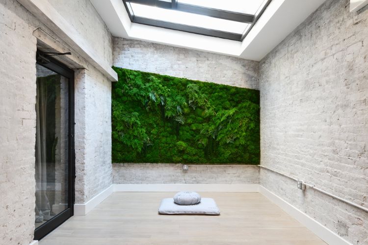 Gör mossvägg själv växtvägg mossbild grön vägg vägg trädgårdsväxter vägggrönande mossväxt vit tegelvägg