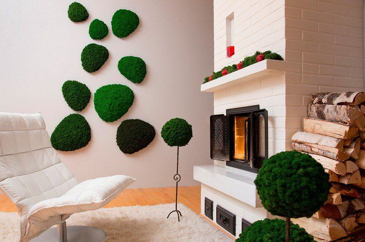 Gör mossvägg själv plantera väggmossa bild grön väggvägg trädgårdsväxter vägggröna köp färsk mosseldesign