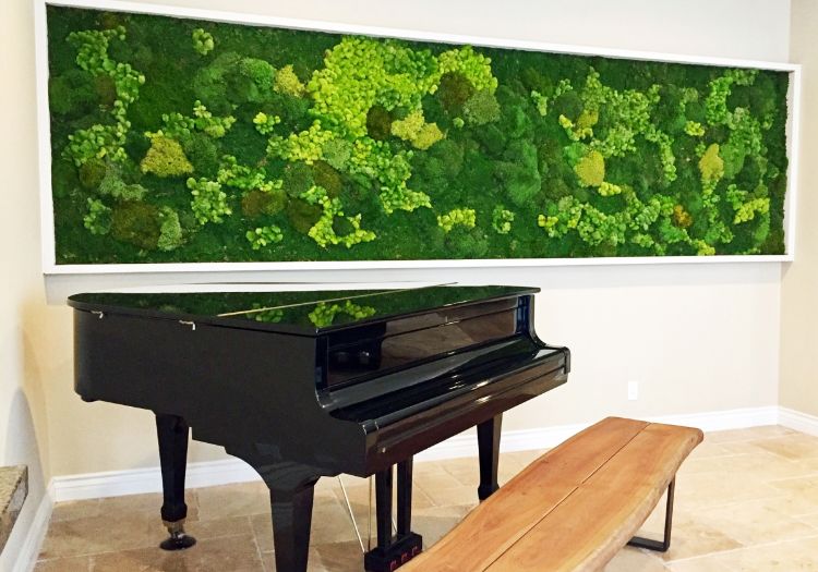 Gör mossvägg själv plant vägg mossbild grön vägg vägg trädgårdsväxter vägg grönare färsk konstgjord mossa köp riktiga växtbilder