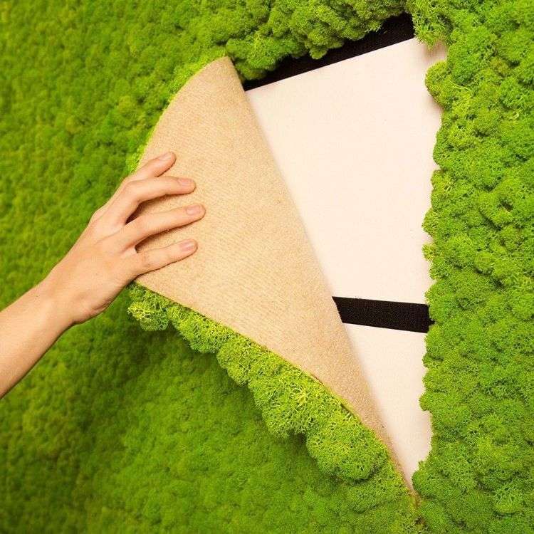 Gör mossvägg själv plantera väggmossa bild grön väggvägg trädgårdsväxter vägggröna köp konstgjord mossa fäst ram