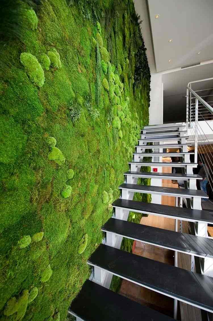 Gör mossvägg själv växt vägg mossa bild grön vägg vägg trädgårdsväxter vägg gröna succulenter moss växt trappor