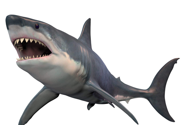Καρχαρίας-πιο επικίνδυνο θαλάσσιο ζώο