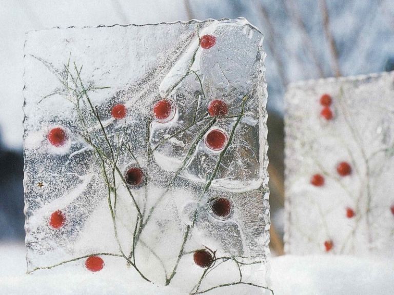 Vinter-trädgård-dekoration-med-is-gör-själv-frukter-frysta-is-block