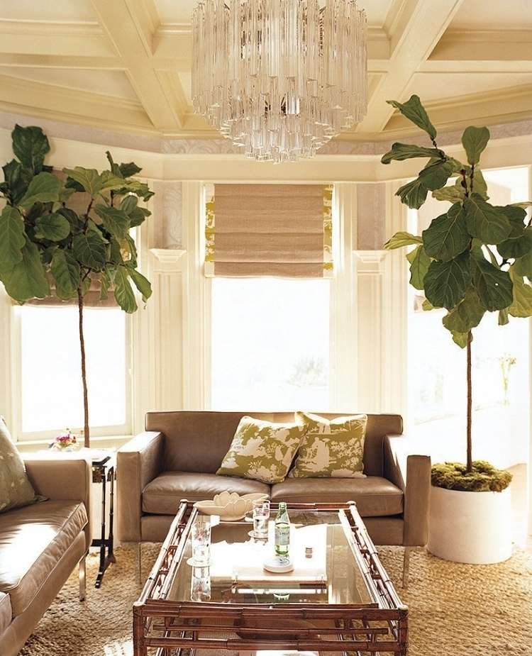 Inred vardagsrummet enligt Feng Shui -krona-soffa-växter-fönsterkuddar