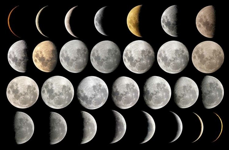 Månskalenderhår klippte olika faser av månen