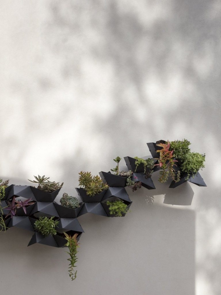 Planters på ytterväggen ger variation till moderna hängande trädgårdar med inhemska succulenter och växter