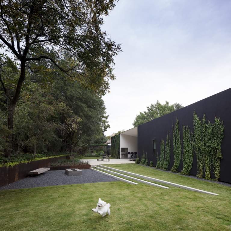 modern arkitektur i USA trädgårdsplantering med inhemska växter