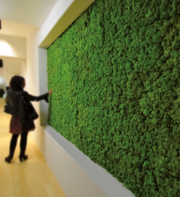 vertikal grön installationsstabiliserad lav-Benetti MOSS-trädgård