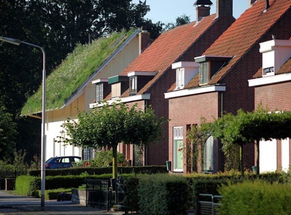 Grön tak bostadsbyggnad installation Good-House RO & AD-architecten Roosendaal