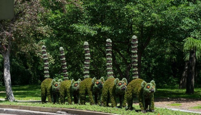 Lemur trädgård skulptur rabatter-skapa botaniska trädgården Montreal