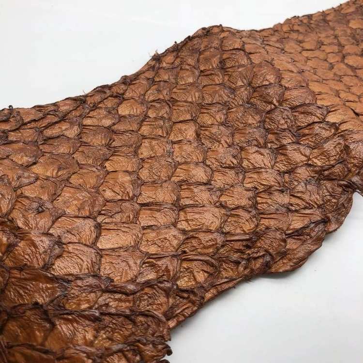 hållbara kläder fiskhud arapaima brun bearbetad