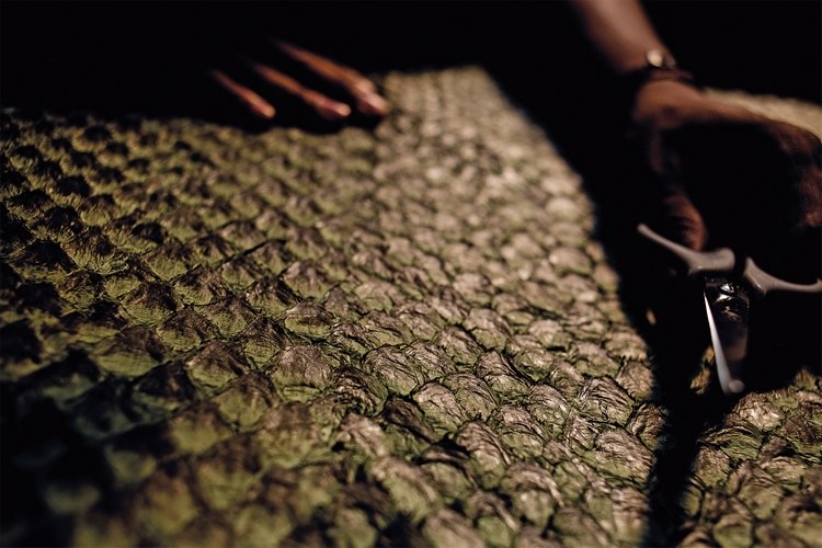 hållbara kläder fiskhud arapaima process garvning