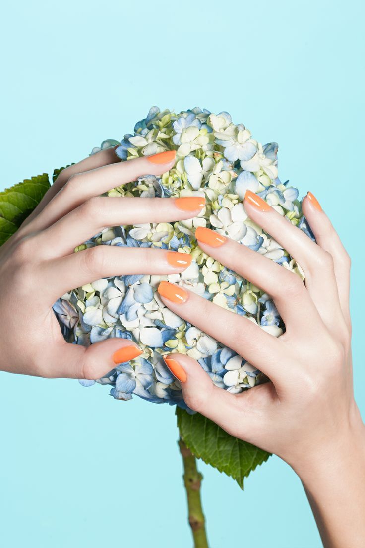 Nageldesign för våren 2015 -orange-färg-blå-hortensia-bakgrund