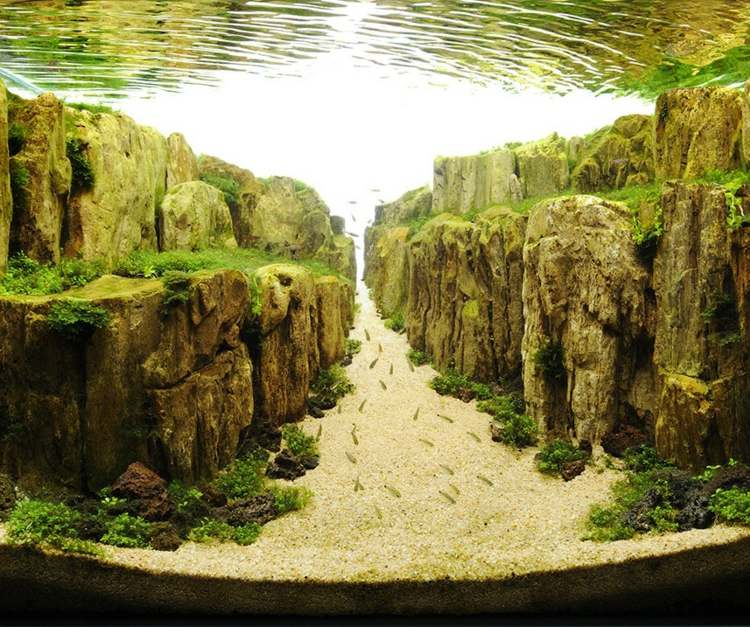 Akvarium ställa upp stenar små fiskar