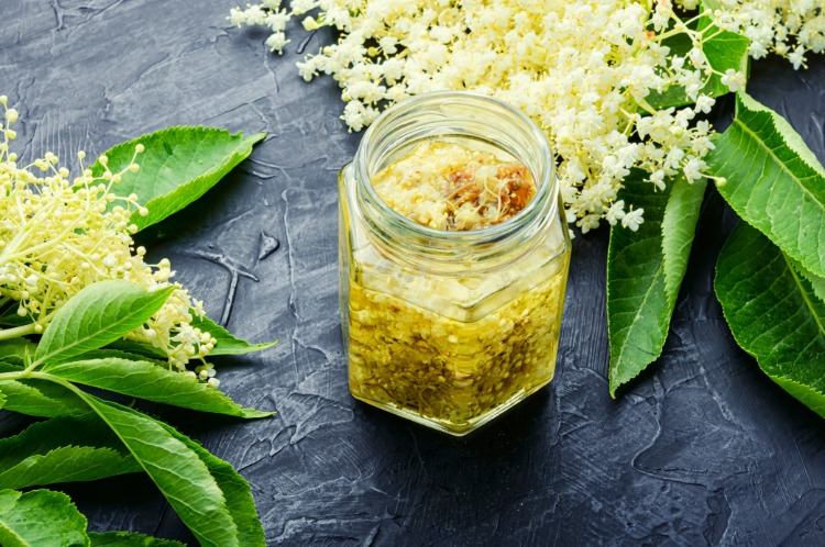 blötläggda blommor som en beredning av fläderbärsjuice med många hälsofördelar