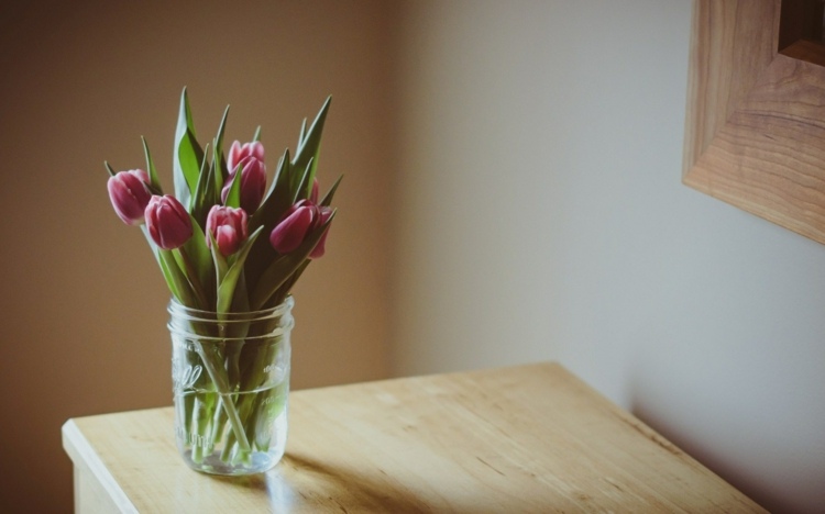 bakpulver-blommor-tulpaner-hålla-färska-längre