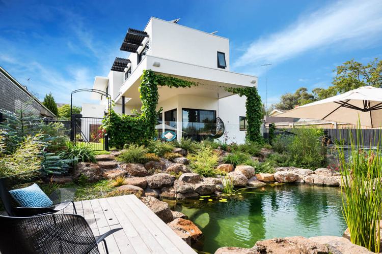 Naturlig pool i trädgården -moderna-arkitektur-terrass-bakgård-sekretessskärm