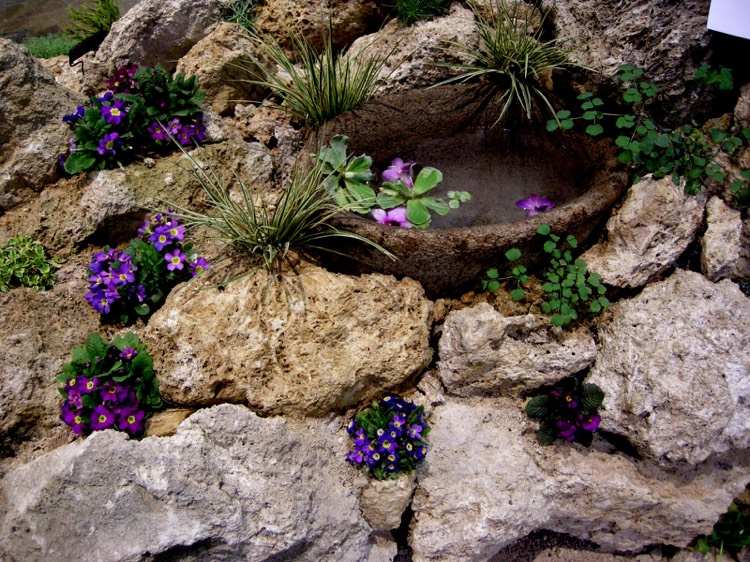 gips-plantering-primroser-nyans