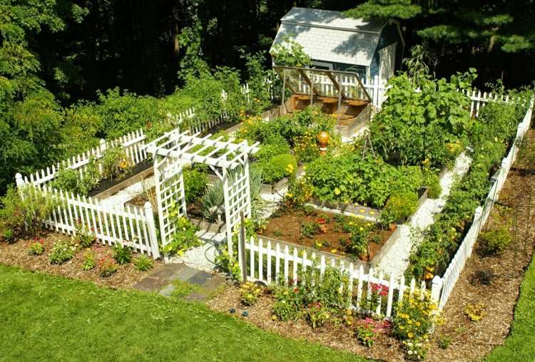 skapa-kök-trädgård-vit-staket-spaljé-planering-tips-buesche