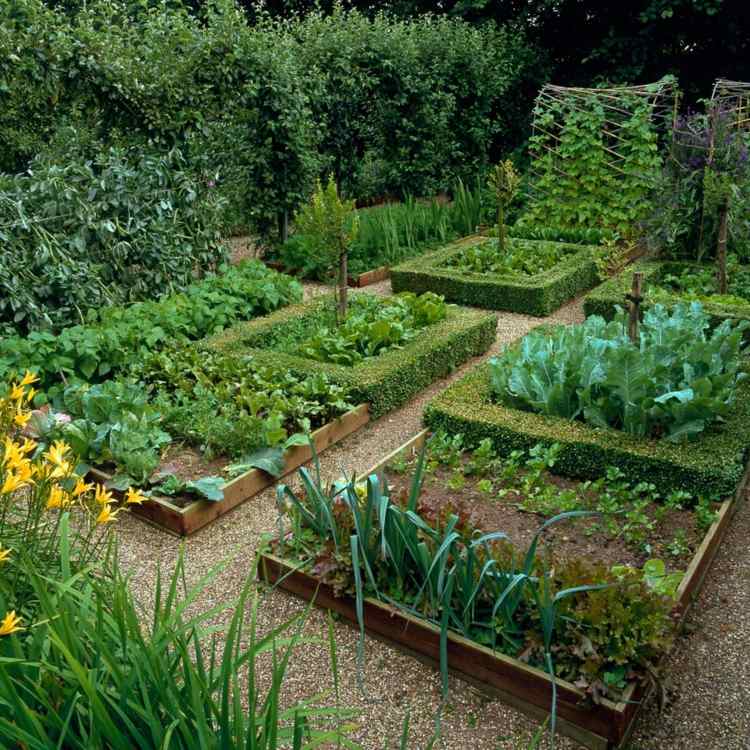 Grönsaksodling skapa grönsaksodling-idéhöjda sänghäckar-purjolök