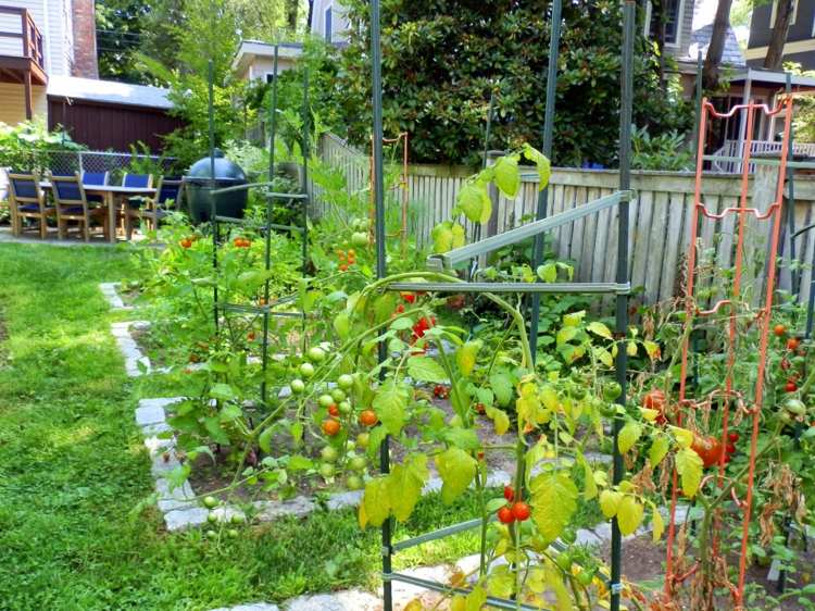 Skapa-kök-trädgård-gatstenar-tomater-klättring-växter-trä