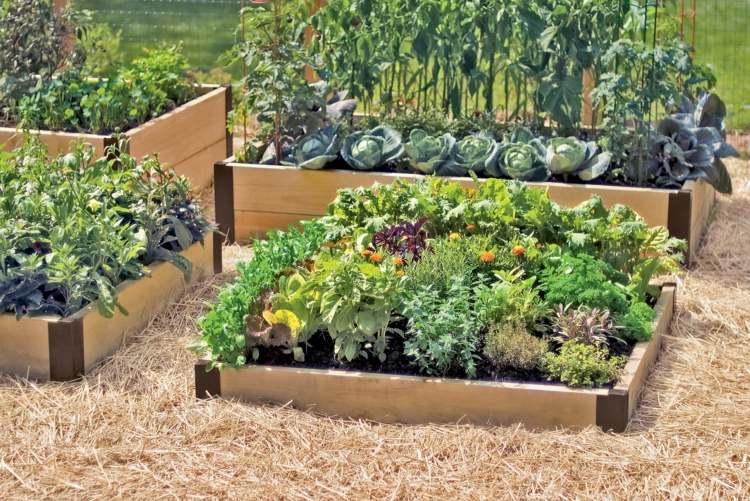 Skapa-grönsaks-trädgård-sängar-plan-tips-hö-golv