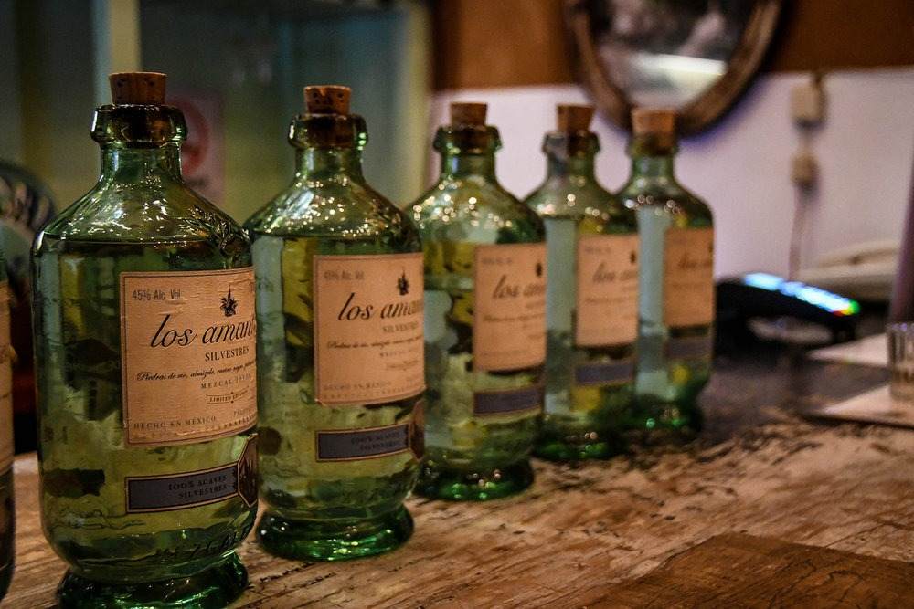 Traditionell mezcal och fulla flaskor meskal drink i oaxaca mexico spirit