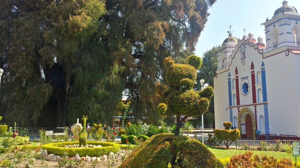 vacker trädgård framför en mexikansk kyrka med ett stort träd och figurer