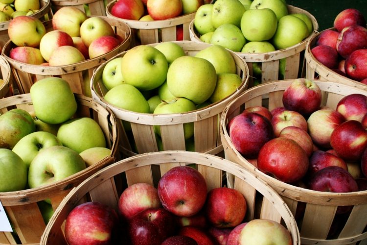 förvaring äpplen korgar fruktträdgård tips vård